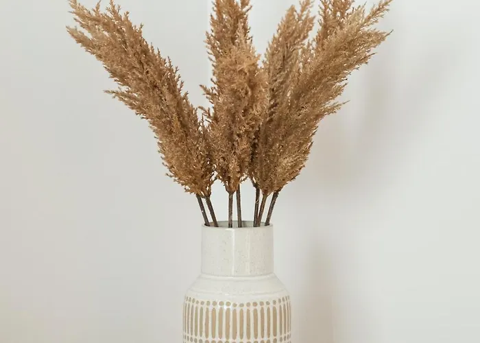 Apartamento Davio Braşov